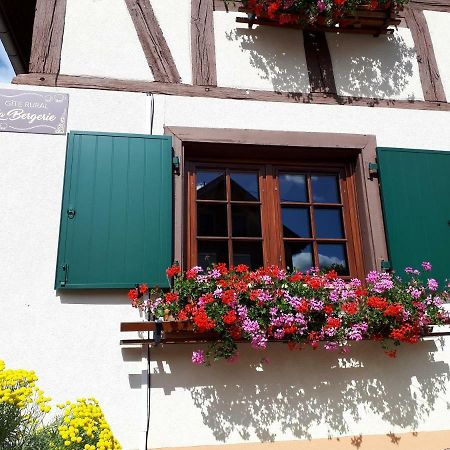 Gite Rural "La Bergerie" Friedolsheim Экстерьер фото