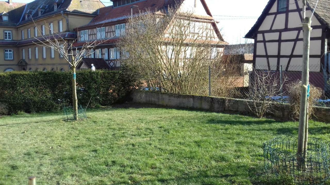 Gite Rural "La Bergerie" Friedolsheim Экстерьер фото
